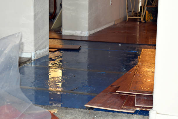 Professional Burst Pipe Cleanup technician working in Little Compton, RI